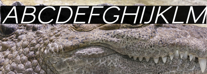 MonocoleFree-SemiBoldItalic Example 2