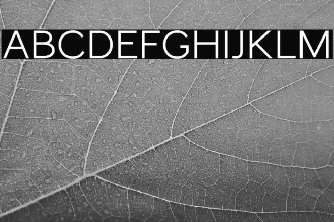 MonocoleFree-SemiBold Font examples