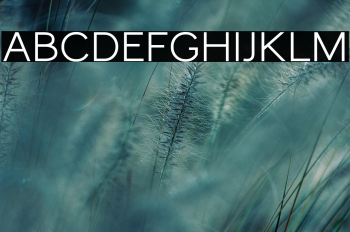 MonocoleFree-SemiBold Example 3