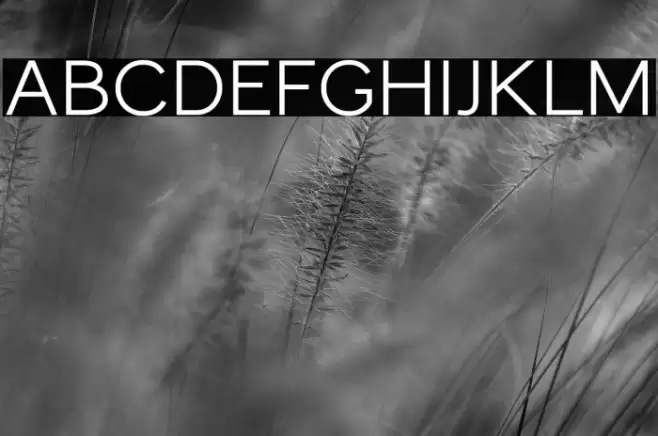 MonocoleFree-SemiBold Font examples