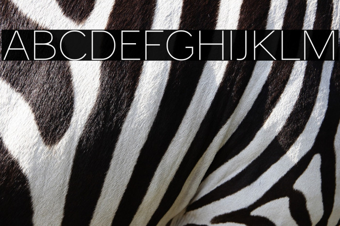 MonocoleFree-Thin Example 1