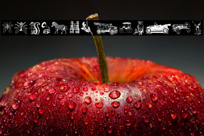 Monocracy Cuts and Clips Regular Example 3