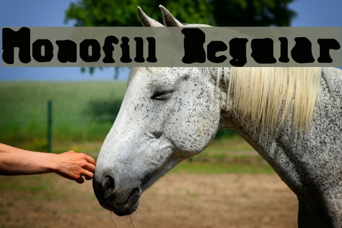 Monofill Regular Font examples