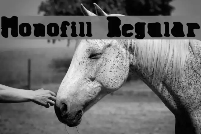 Monofill Regular Example 1