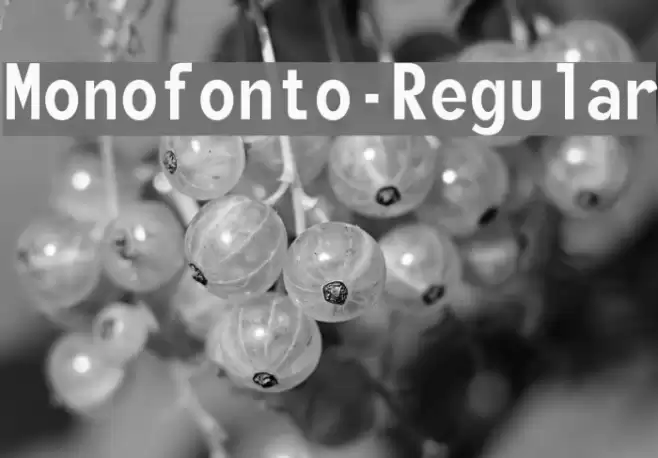 Monofonto-Regular Font examples