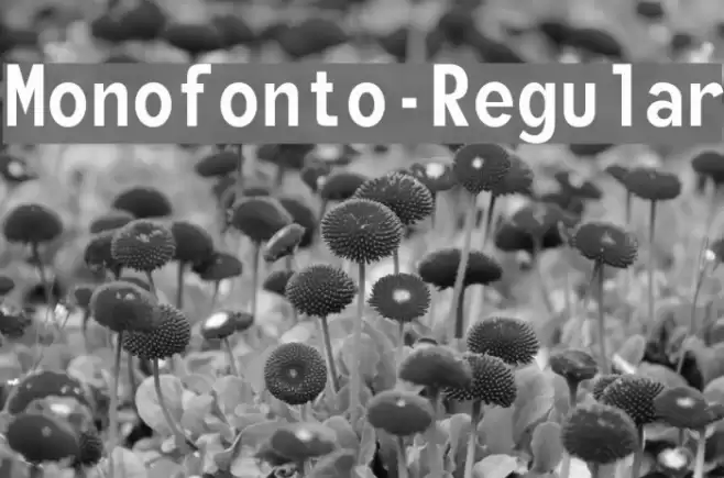 Monofonto-Regular Font examples