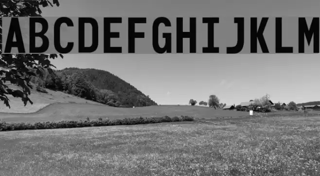 Monofonto Font examples