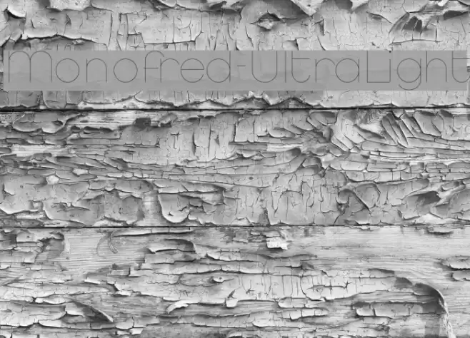 Monofred-UltraLight Font examples
