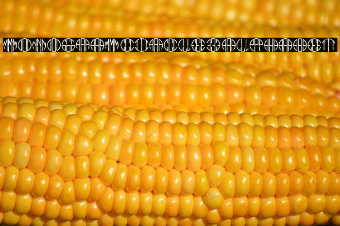 Monogram Circle 3 Alphabet Example 2