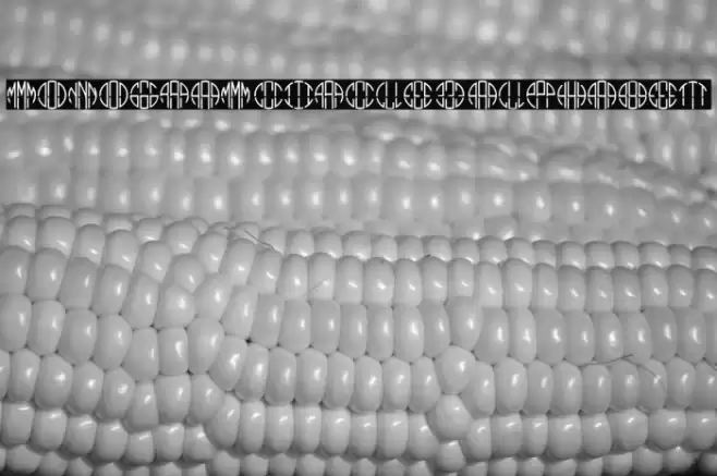 Monogram Circle 3 Alphabet Caratteri examples