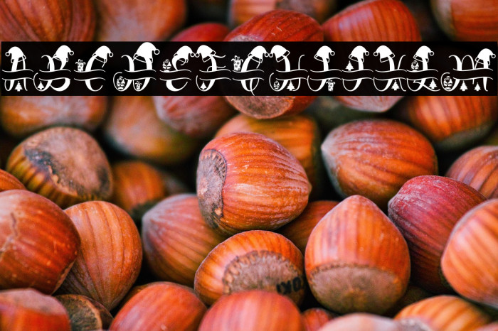 Monogram Diary Example 3