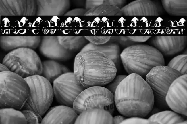 Monogram Diary Font examples