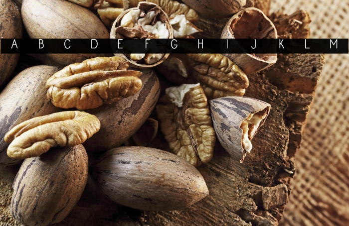 Monogram Framer Demo Example 2