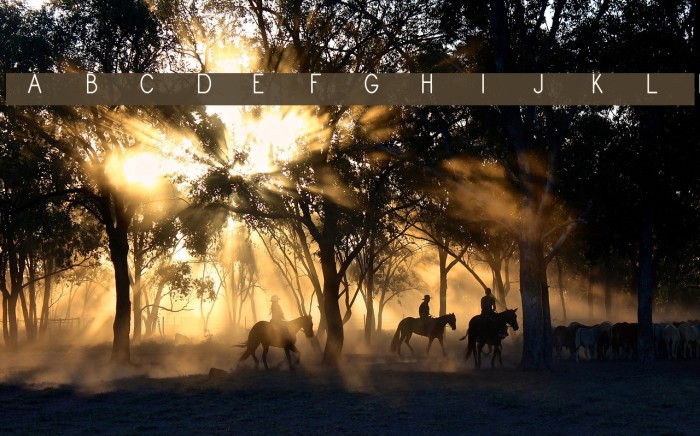 Monogram Framer Demo Example 1