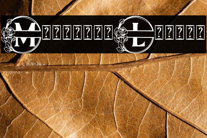 Monogram Lovely Example 2