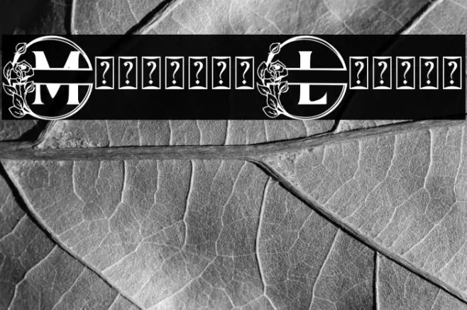 Monogram Lovely Example 2