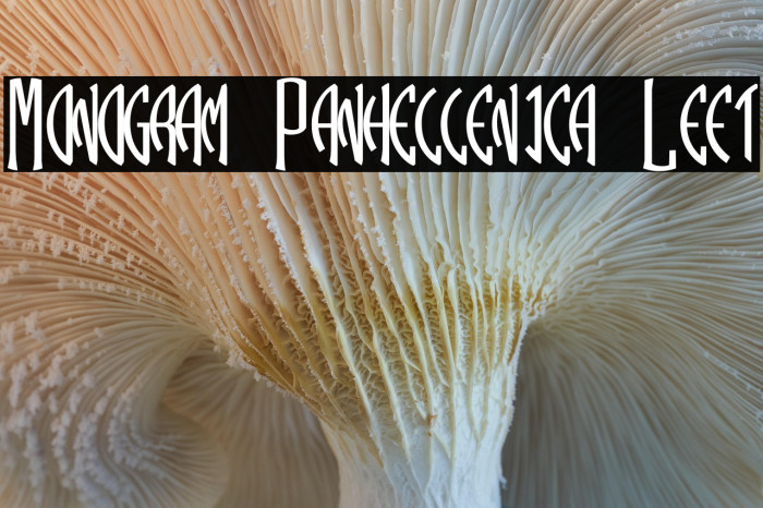 Monogram Panhellenica Left Example 1