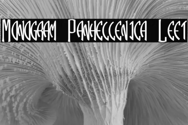 Monogram Panhellenica Left Font examples