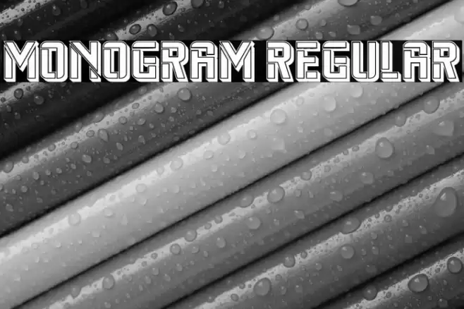 Monogram Regular Font examples