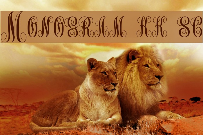 Monogram kk sc Font examples