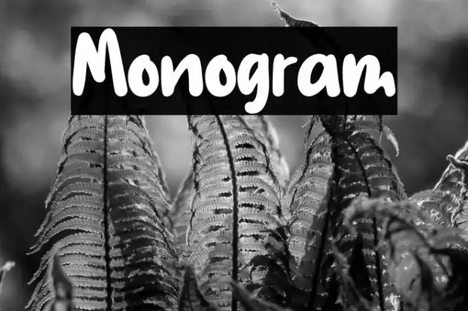 Monogram Font examples