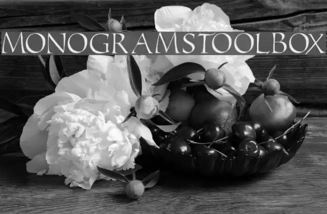 MonogramsToolbox Schriftart examples