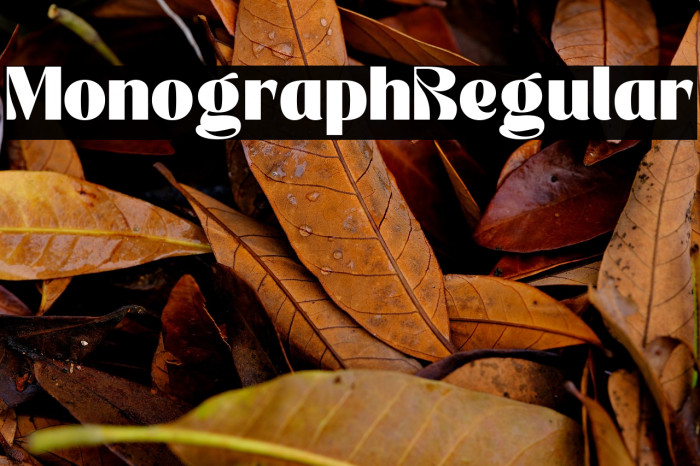 Monograph Regular Example 1