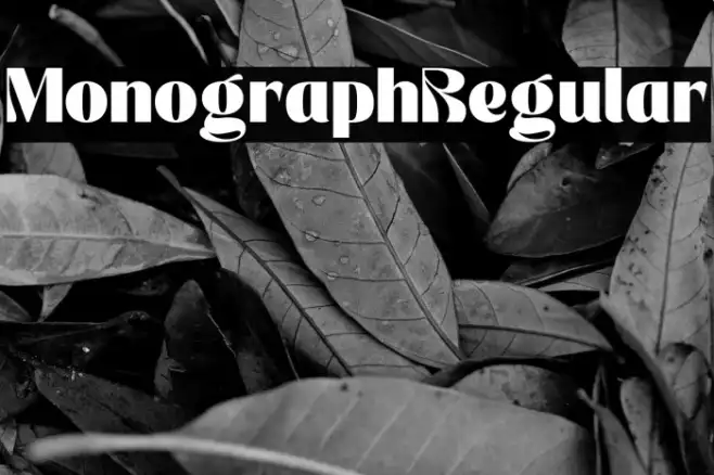 Monograph Regular Example 1