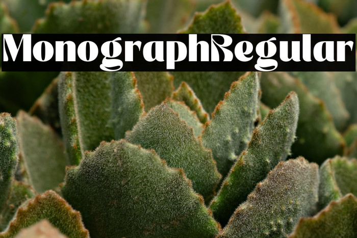 Monograph Regular Example 2