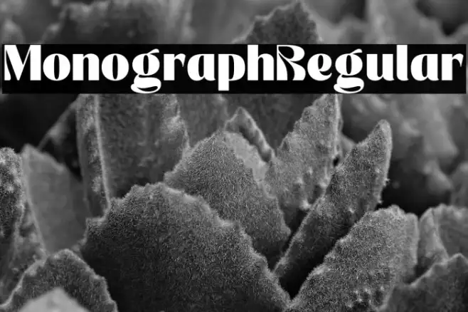 Monograph Regular Example 2
