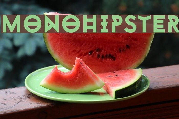 Monohipster Example 2