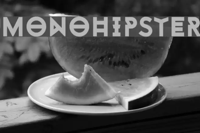 Monohipster Font examples