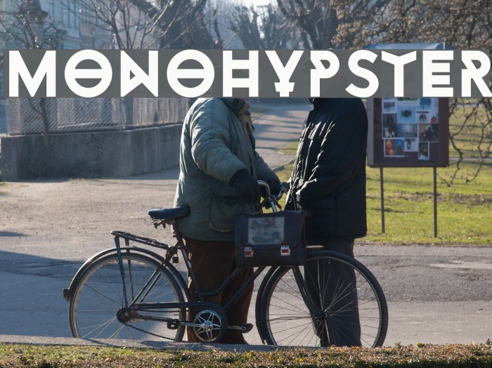 Monohypster Example 2