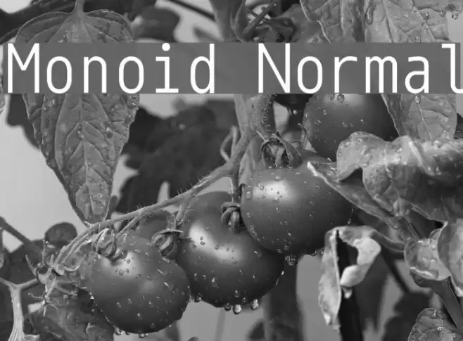 Monoid Normal Font examples