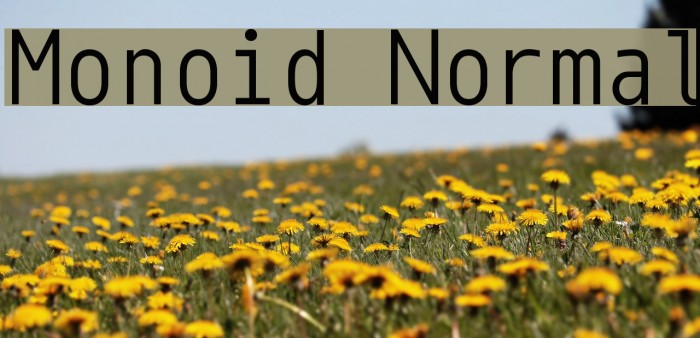 Monoid Normal Font examples