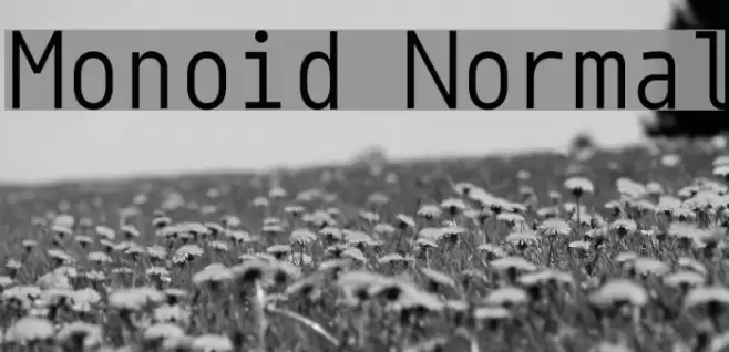 Monoid Normal Font examples