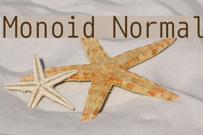 Monoid Normal Font examples