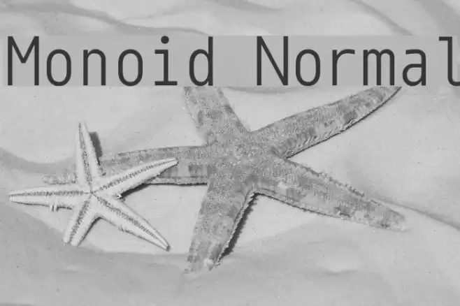 Monoid Normal Font examples