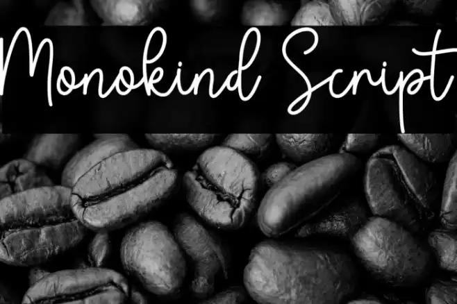 Monokind Script Font examples