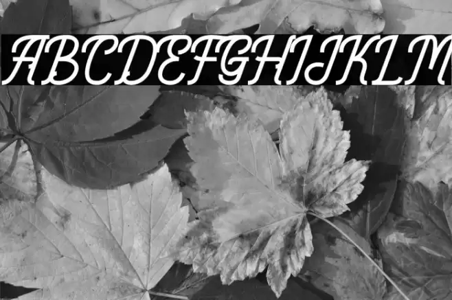 Monoline Fighter Personal Use Font examples