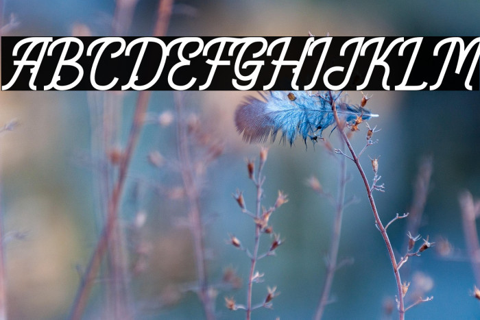 Monoline Fighter Personal Use Example 2