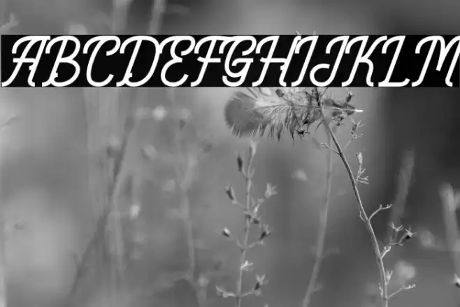 Monoline Fighter Personal Use Font examples