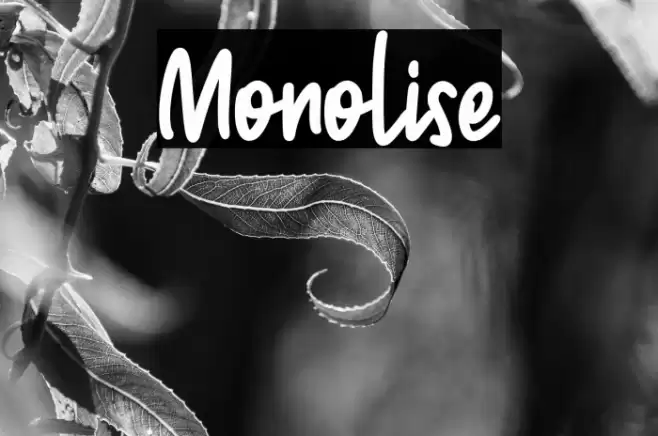 Monolise Font examples