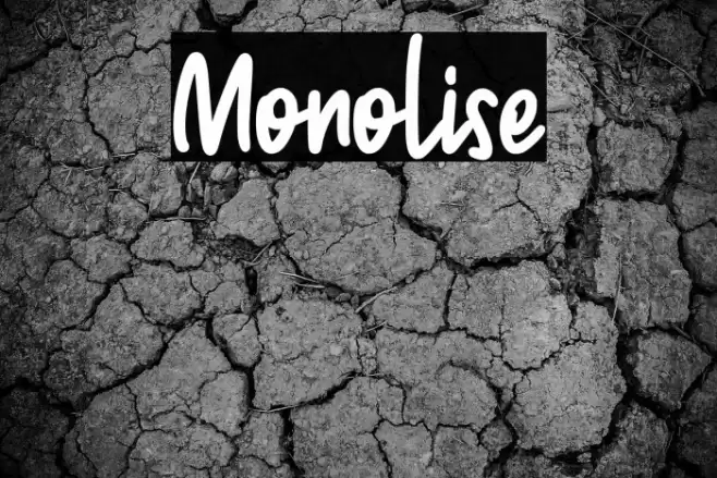Monolise Font examples