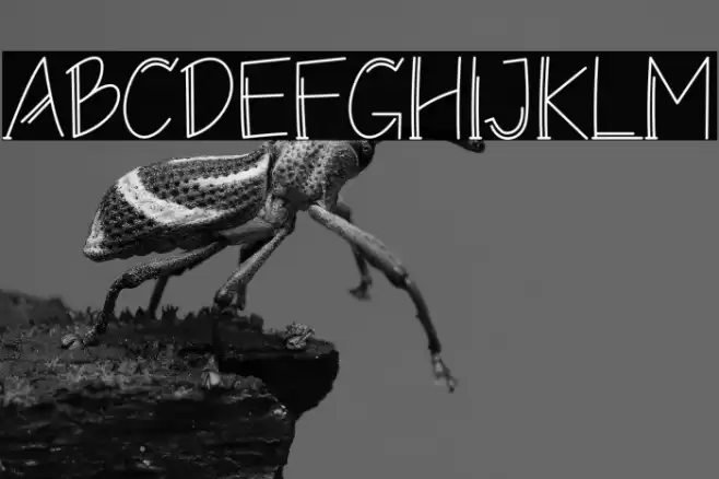 Monolism Bold Font examples