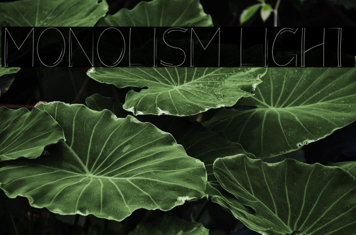 Monolism Light Example 1