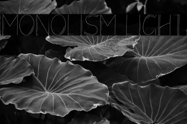 Monolism Light Font examples