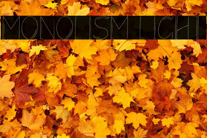 Monolism Light Example 3