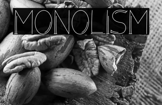 Monolism Font examples