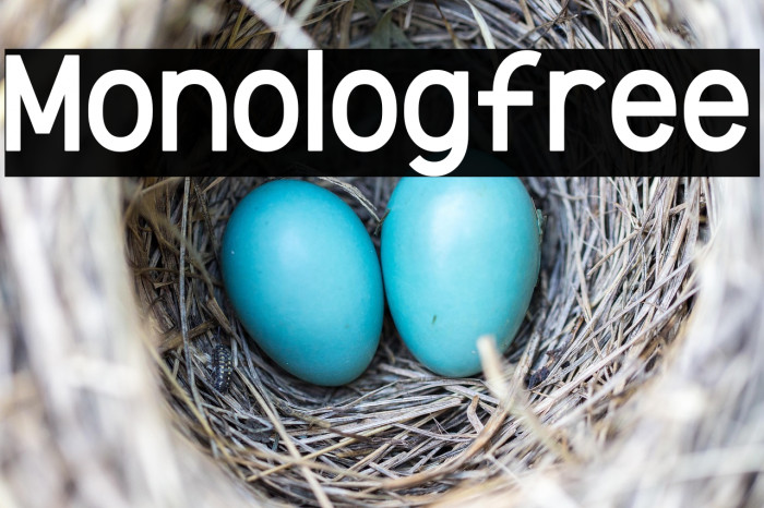 Monolog-free Example 1